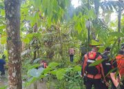 4 Hari Tidak Pulang, Seorang Ibu Warga Desa Sifaoroasi Huruna Kabupaten Nias Selatan Diduga Hilang Saat Menyeberangi Sungai