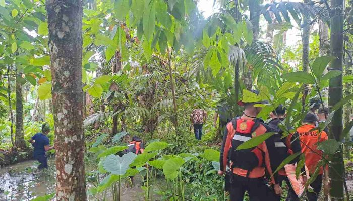 4 Hari Tidak Pulang, Seorang Ibu Warga Desa Sifaoroasi Huruna Kabupaten Nias Selatan Diduga Hilang Saat Menyeberangi Sungai