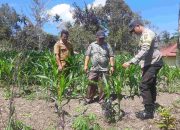 Polres Pakpak Bharat Komitmen Cek Perkembangan Lahan Ketahanan Pangan