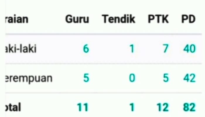 Viral, Sebelum Kasek Dilaporkan, Dapodik SDN 078464 Foikhu Fondrako Diduga Telah Diubah dan Keluarkan 48 Data Siswa/i Siluman