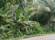 Ancaman di Depan Mata, Kabel Listrik Menjuntai Resahkan Warga Desa di Nias Selatan