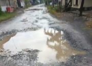 Kondisi Jalan Utama Desa Sidakaya Memprihatinkan, Warga Mendesak Perbaikan Segera