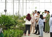 Tinjau Taman Sains Teknologi Herbal dan Hortikultura, Wapres Gibran Apresiasi Inovasi Riset dan Hilirisasi Produk
