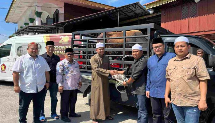 H. Sugiat Santoso Kurban Sapi di Persulukan Besilam Kab. Langkat