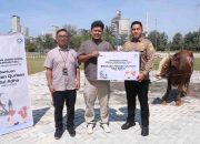 Sambut Idul Adha 1446 H, Semen Baturaja Salurkan 13 Ekor Sapi Kurban di Tiga Wilayah Operasional