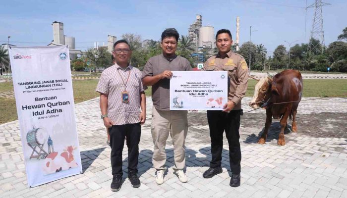 Sambut Idul Adha 1446 H, Semen Baturaja Salurkan 13 Ekor Sapi Kurban di Tiga Wilayah Operasional