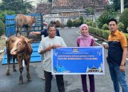 PLTU MT Sumbagsel-1 Desa Keban Agung Bagikan Belasan Hewan Kurban