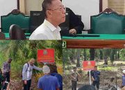Divonis 10 Tahun Penjara, JPU Ajukan Banding Kasus Akuang, Koperasi STM Diduga Masih Panen Sawit di Hutan Negara, Kastel Langkat : Dititip ke BKSDA