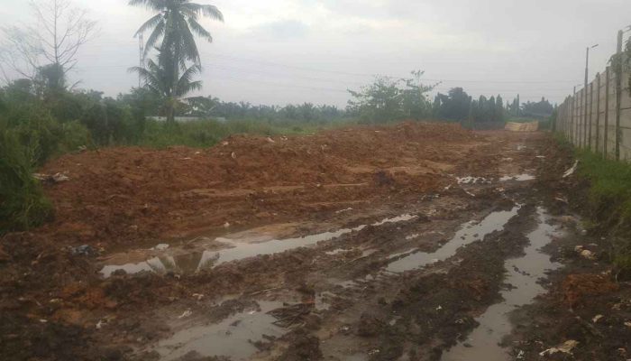 Diduga Limbah Spent Bleacing Eart Dibuang Sembarangan di Sekitar PT Bukara Hamparan Perak, LP3 : Lingkungan Tercemat, Pemerintah dan APH Harus Bertindak