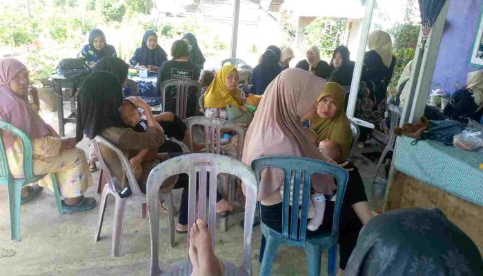 Pemdes Air Selimang Gelar Posyandu Balita : Upaya Nyata Meningkatkan Kesehatan Generasi Muda