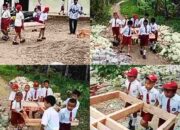 Diduga Biarkan Siswa Kerja pada Program Revitalisasi SDN 078533 Hoya Ambukha Nias Selatan, Kasek: Tidak Tahu Kami, Itu Urusan Mereka!