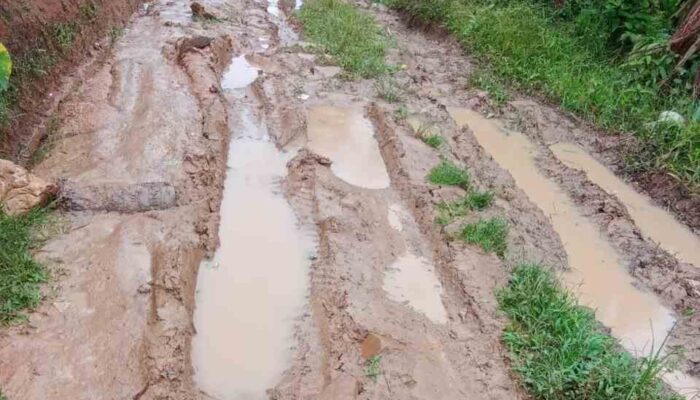 Warga Desa Dao-Dao Zanuwe Idano Tae Keluhkan Jalan Desa, Minta Bupati dan Wakil Bupati Nias Selatan untuk Turunkan Tim Terkait Laporan Realisasi Pembangunan Jalan Desa