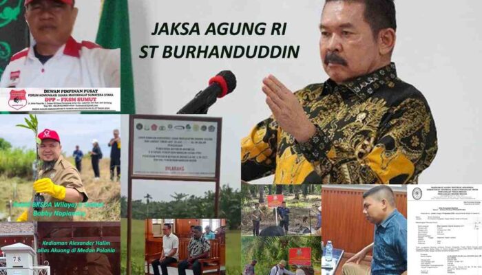 Jaksa Agung Minta Tertib Objek Sitaan, Bagaimana Soal Kebun Sawit Sitaan Milik Akuang Tetap Dipanen?