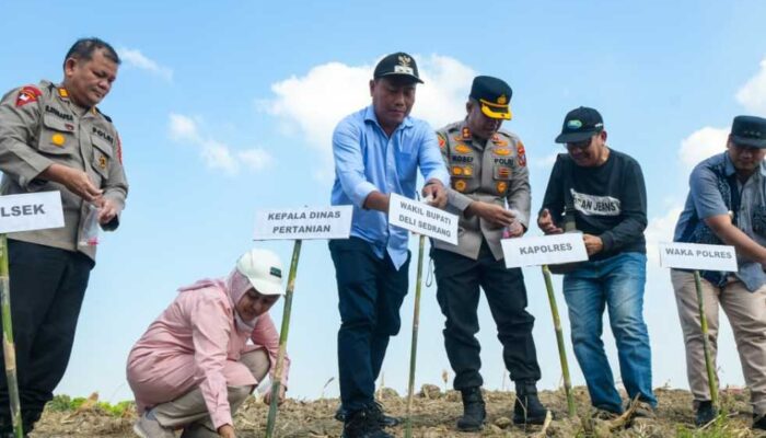 Sinergitas Pemkab Deli Serdang & Polres Belawan Dukung Ketahanan Pangan