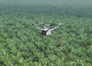 Pemantauan Keamanan Hutan dan Deteksi Kebakaran Lahan dengan DJI Dock 3