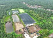 Hadapi Gejolak Energi Global, Holding Perkebunan Nusantara Andalkan PLTBg PalmCo