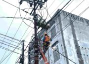 Strategi Preventif PLN Amankan Jaringan Listrik dari Potensi Gangguan Satwa di Bengkulu