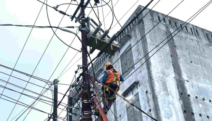 Strategi Preventif PLN Amankan Jaringan Listrik dari Potensi Gangguan Satwa di Bengkulu