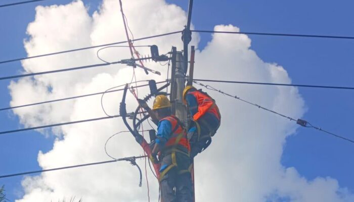 PLN ULP Lembayung Gerak Cepat Pulihkan Listrik di Lahat Pasca Diterjang Hujan Angin