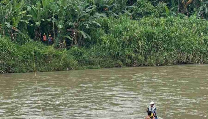 ​Menerjang Arus Demi Cahaya, Aksi Heroik PLN ULP Muara Enim Pulihkan Jaringan SUTM di Sungai Tanjung Enim