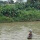 ​Menerjang Arus Demi Cahaya, Aksi Heroik PLN ULP Muara Enim Pulihkan Jaringan SUTM di Sungai Tanjung Enim