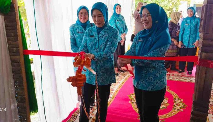 Ketua TP PKK Provinsi Sumsel Kunjungi OKU, Lakukan Pembinaan dan Evaluasi 10 Program Pokok PKK