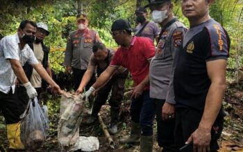 Polsek Lahewa Temukan Tengkorak Manusia di Aliran Sungai Batoto
