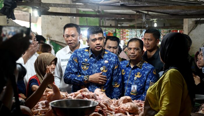 Pemprov Sumut Pastikan Stok & Distribusi Minyakita Aman, Harga Mulai Stabil