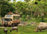 Taman Safari Indonesia Siap Dukung Transformasi Kebun Binatang Bandung sebagai Lembaga Konservasi Modern