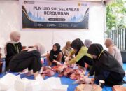 PLN Tebar Semangat Berbagi Idul Adha, Salurkan Lebih dari 2.000 Hewan Kurban ke Seluruh Indonesia