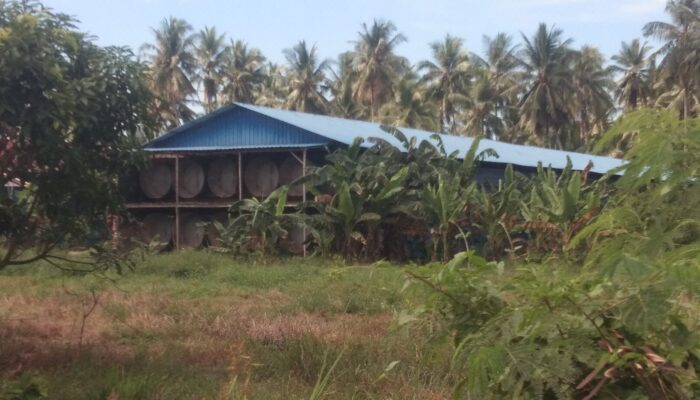 Kandang Ayam di Desa Sei Lendir 