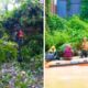 Aksi Gotong Royong Massal Peringati Hari lingkungan Hidup Sedunia, Pemko Medan Berhasil Kumpulkan 38 Ton Sampah