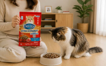 Dry Food Kucing yang Bagus untuk Kesehatan dan Nutrisi Anabul