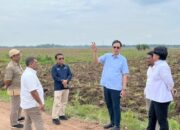 Dukung Program Mandiri Energi Nasional, Holding Perkebunan Nusantara Siapkan 10 Ribu Hektare Lahan Singkong di Lampung