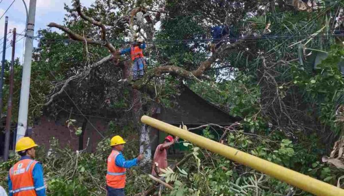 Wujudkan Listrik Andal, Gotong Royong Warga Bersama Petugas PLN ULP Muara Dua UP3 Lahat Bersihkan Jaringan Distribusi