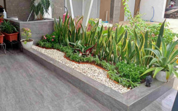 Pagi Ceria Memperkuat Layanan Jasa Taman dan Kolam di Area Jabodetabek