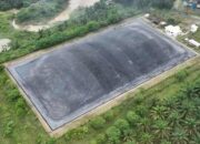 Holding Perkebunan Nusantara Tegaskan Komitmen Net Zero Emission Lewat Pemanfaatan Limbah PKS Sei Tapung