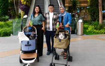 Main Bareng Anabul Di Grand Galaxy Park yang Cat Friendly