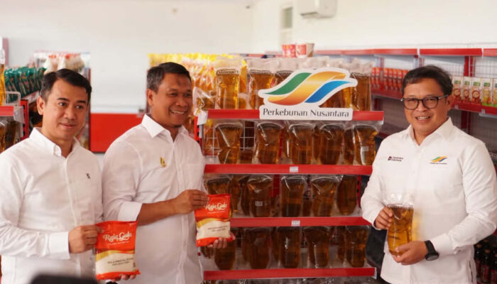 Holding Perkebunan Nusantara Perkuat Kontribusi Ketahanan Pangan, Peluang Sinergi dengan Koperasi Desa