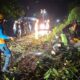 PLN ULP Lembayung Lakukan Pemulihan Gangguan Listrik Akibat Pohon Tumbang di Beberapa Titik Wilayah di Kabupaten Lahat